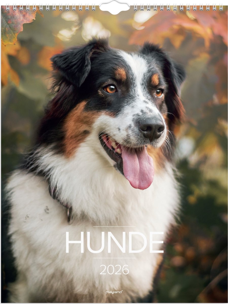 Mayland 2026 Vægkalender, hunde