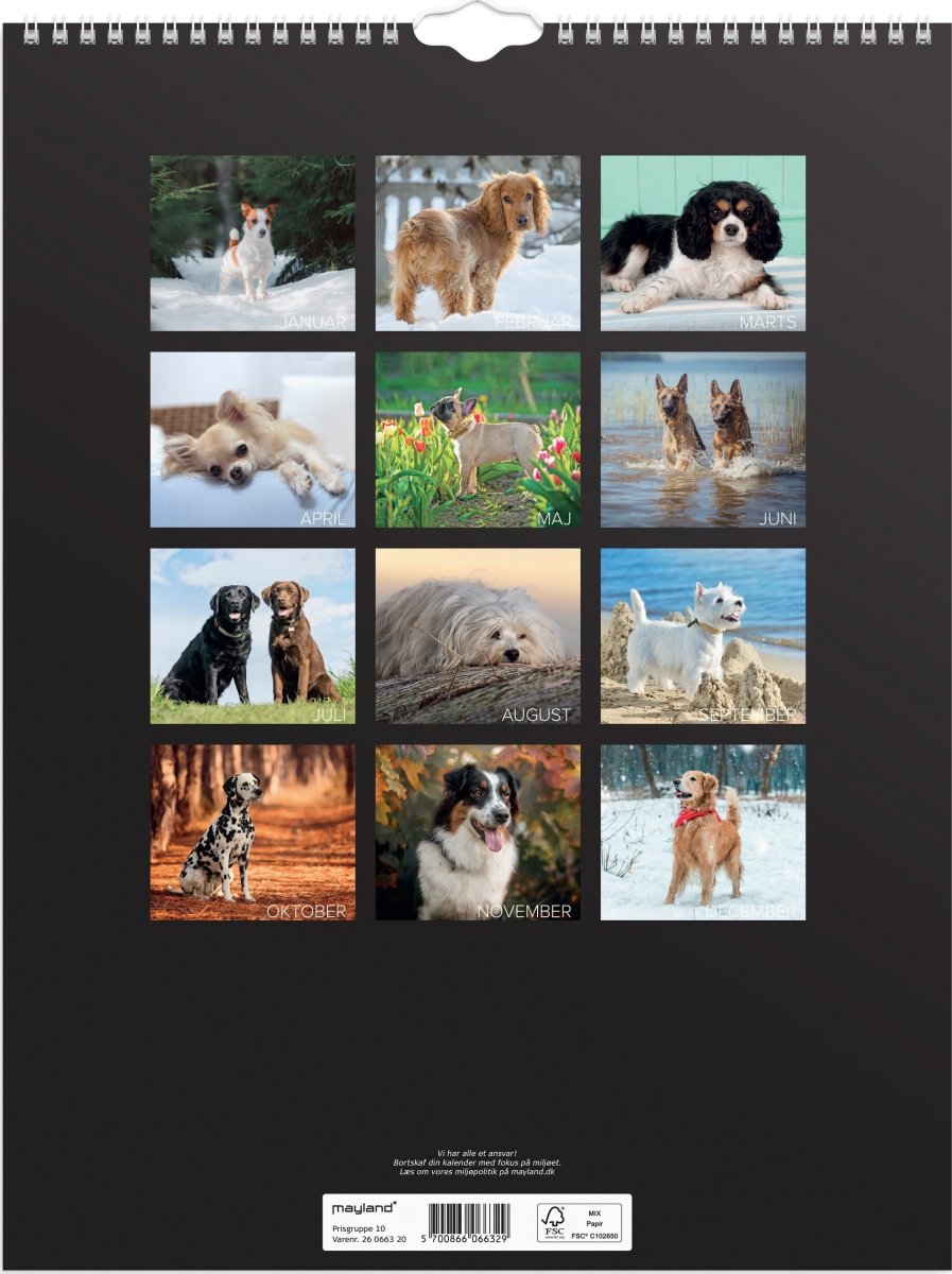 Mayland 2026 Vægkalender, hunde