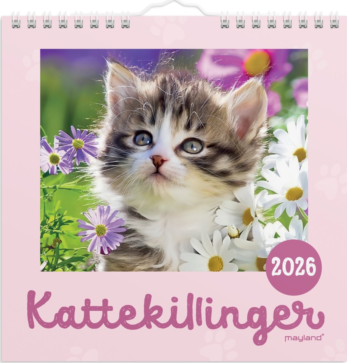 Mayland 2026 Vægkalender Mini, kattekillinger