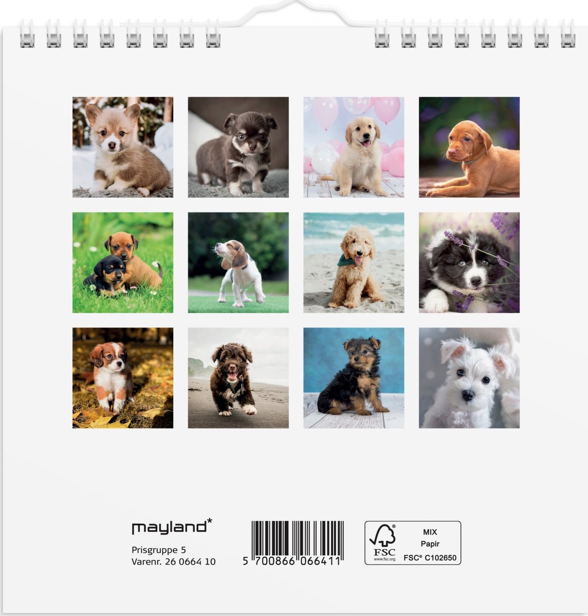 Mayland 2026 Vægkalender Mini, hundehvalpe