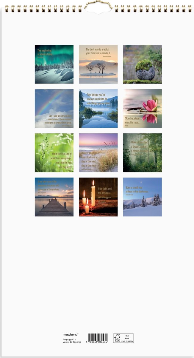 Mayland 2026 Vægkalender Dream & Do