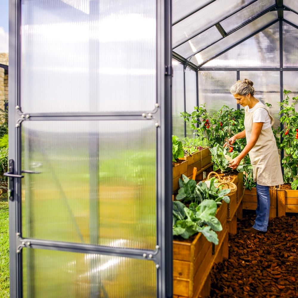 Palram Canopia Glory Drivhus, 9,2 m2, grå