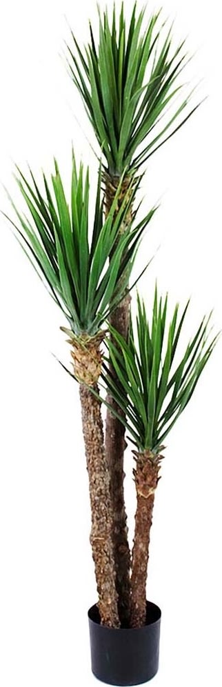 Yucca Rostrata, grøn, 150cm