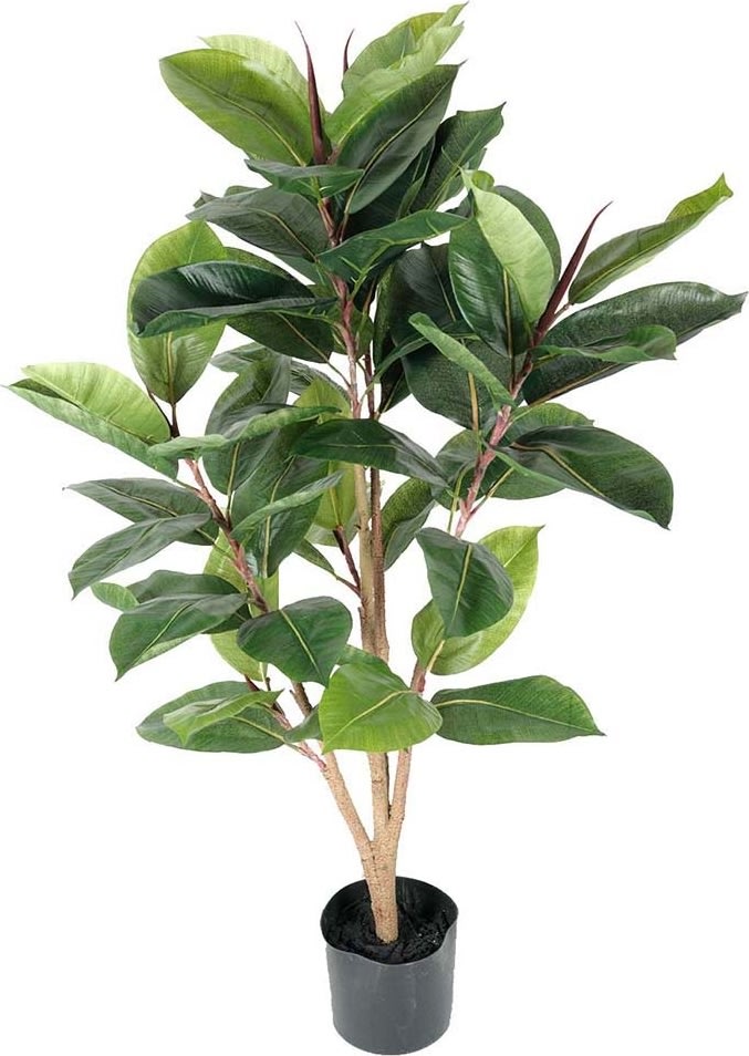 Gummitræ H90 cm