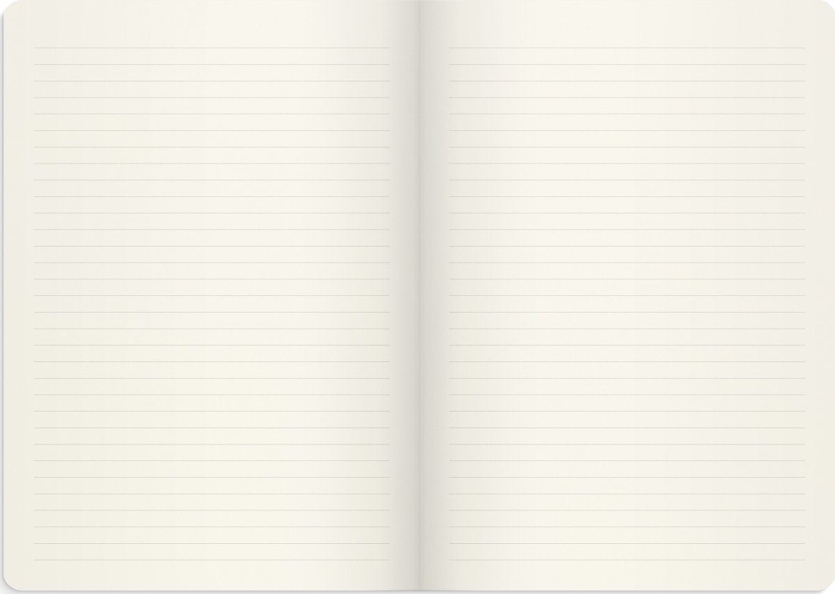 Burde Deluxe Notesbog, B5, linjeret, pink meadow