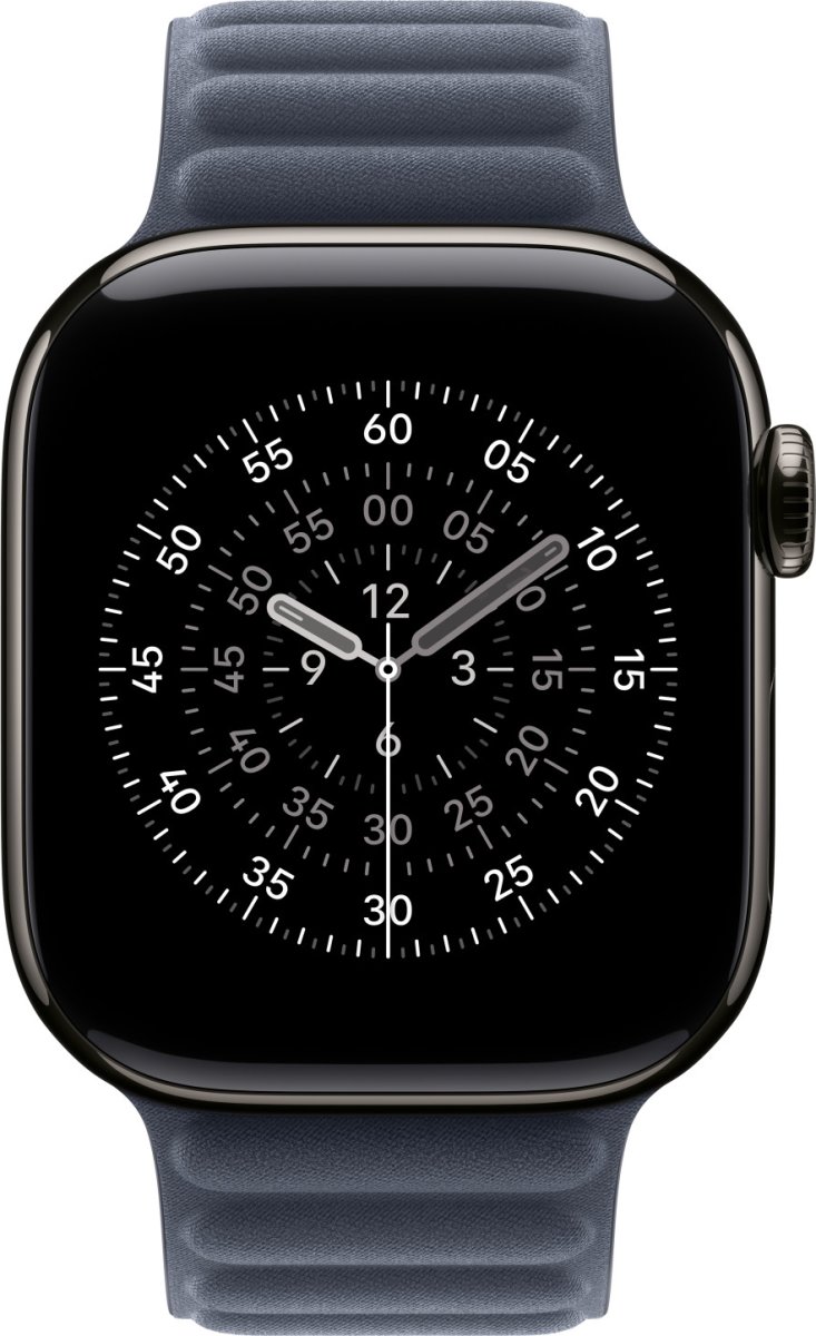 Apple Magnetisk ledrem, blå, 42 mm - M/L
