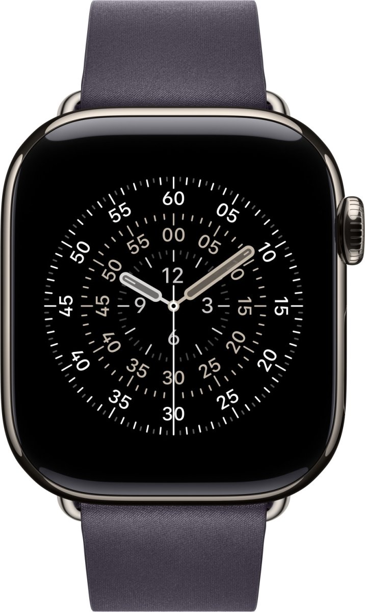 Apple Moderne spænderem, lilla, 42 mm - Small