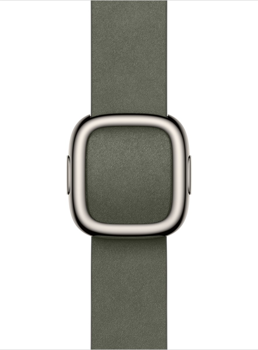 Apple Moderne spænderem, salviegrå, 42 mm - Medium