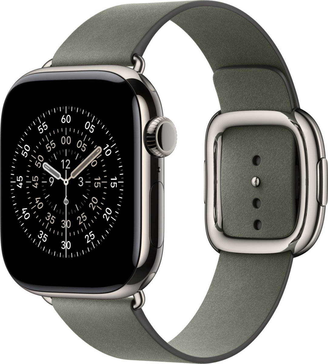 Apple Moderne Spænderem, Salviegrå, 42 mm - Large