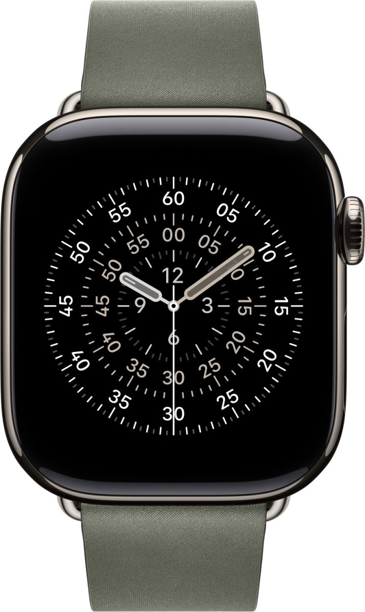 Apple Moderne Spænderem, Salviegrå, 42 mm - Large