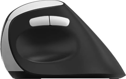 RAPOO Mus EV250, 2,4 GHz, trådløs, Optisk sort