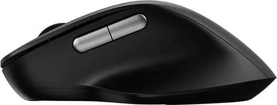 RAPOO Mus M50 Plus, 2.4GHz, Trådløs, Lydløs, Sort