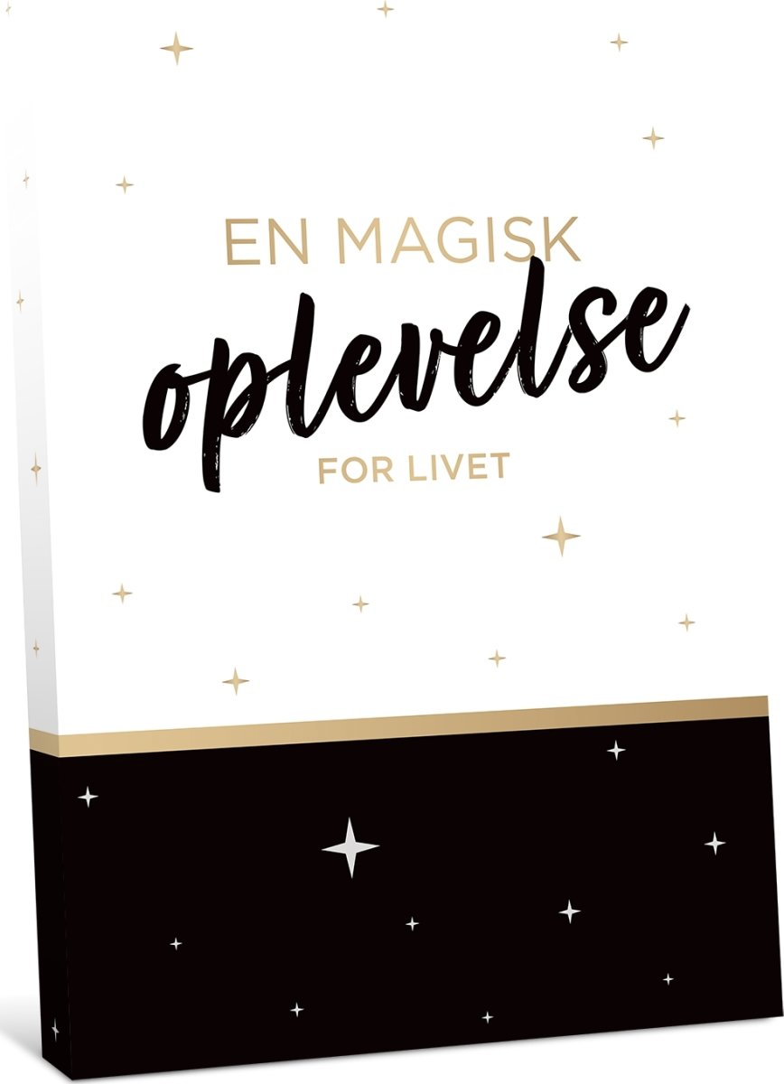 GO DREAM - Valgfri oplevelse (300)