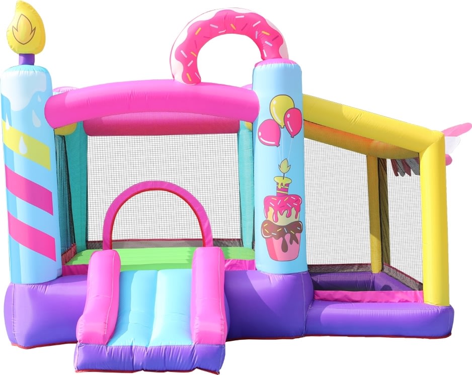 Doctor Dolphin Doughnut Hoppeborg