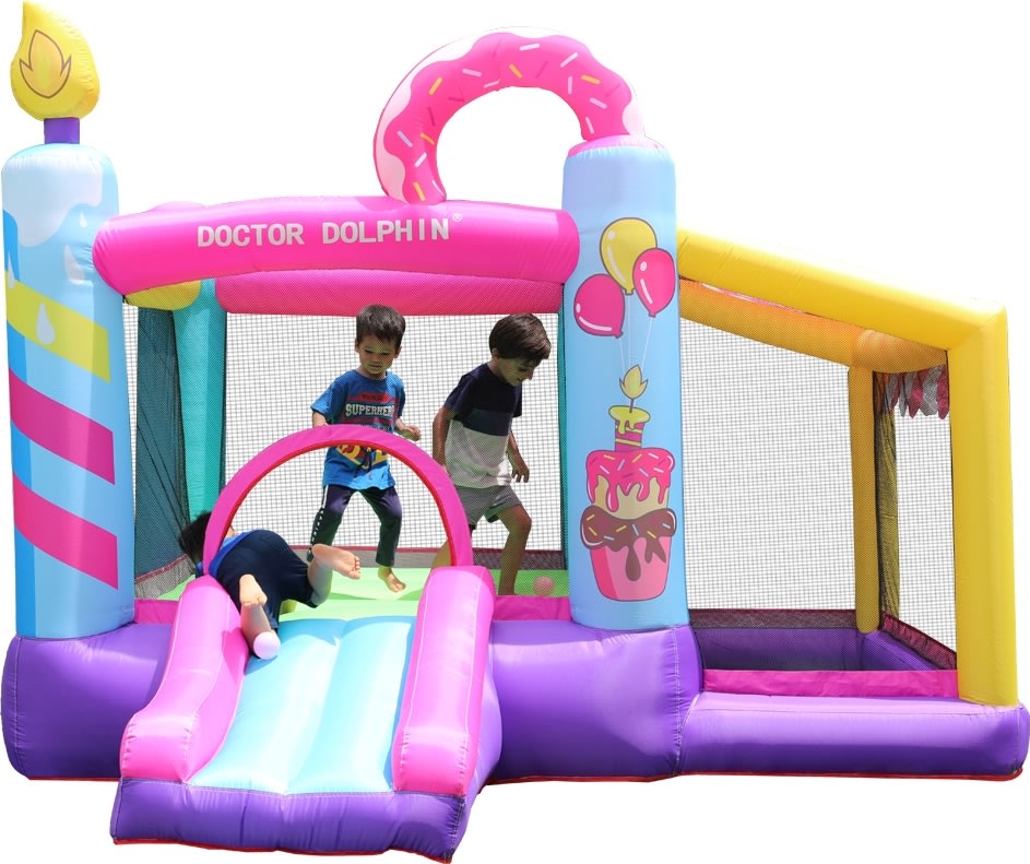 Doctor Dolphin Doughnut Hoppeborg