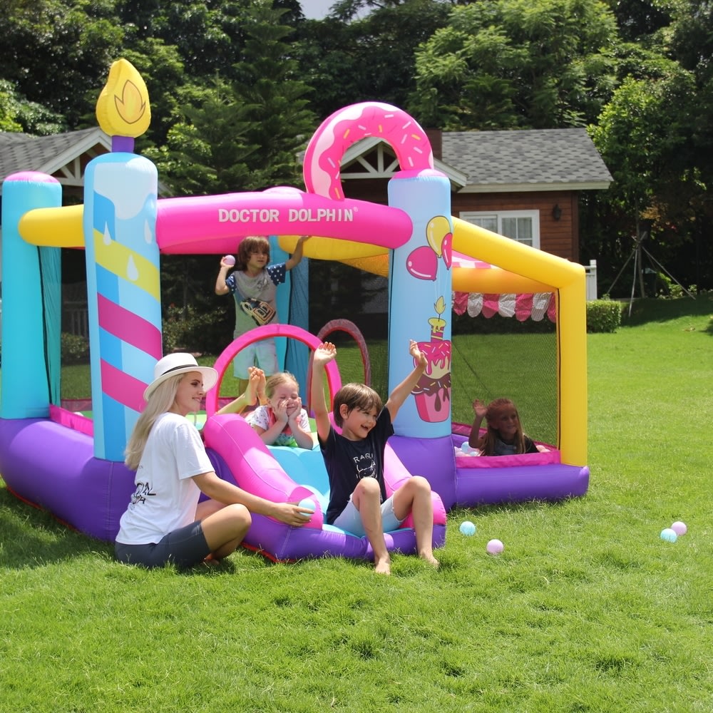 Doctor Dolphin Doughnut Hoppeborg