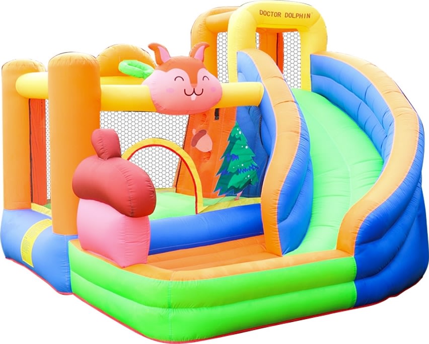 Doctor Dolphin Squirrel Hoppeborg