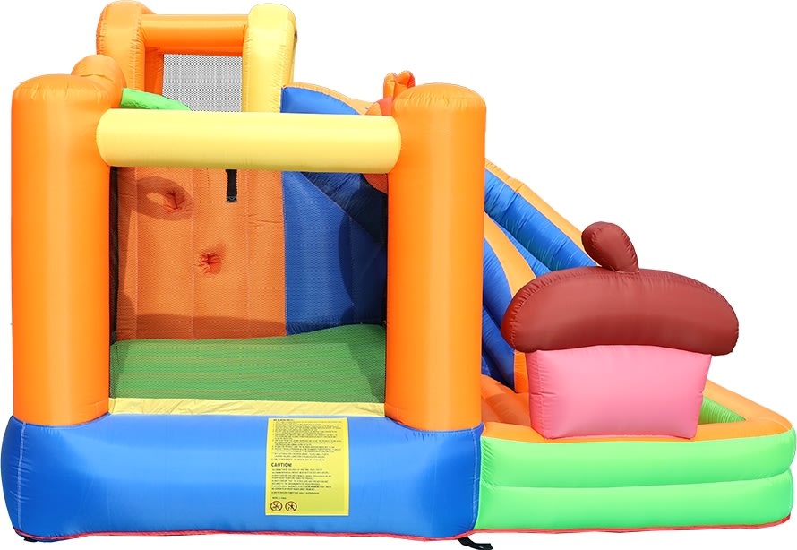 Doctor Dolphin Squirrel Hoppeborg