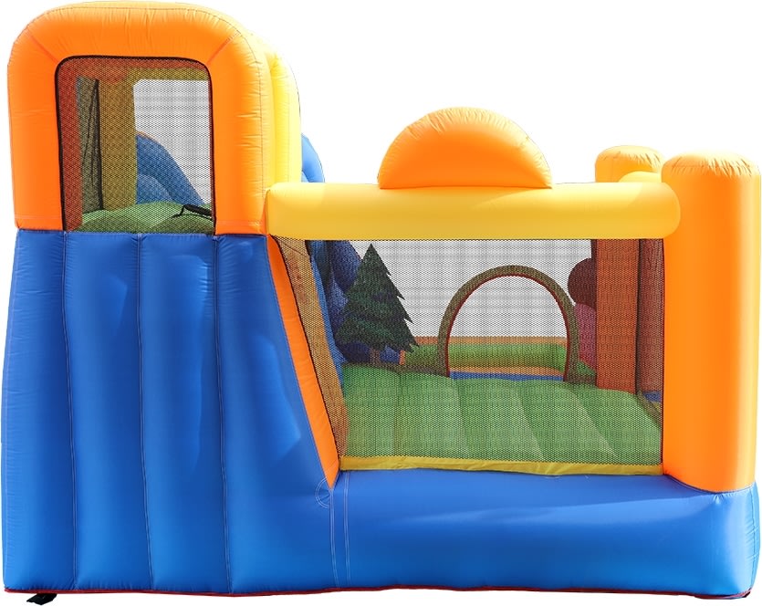 Doctor Dolphin Squirrel Hoppeborg