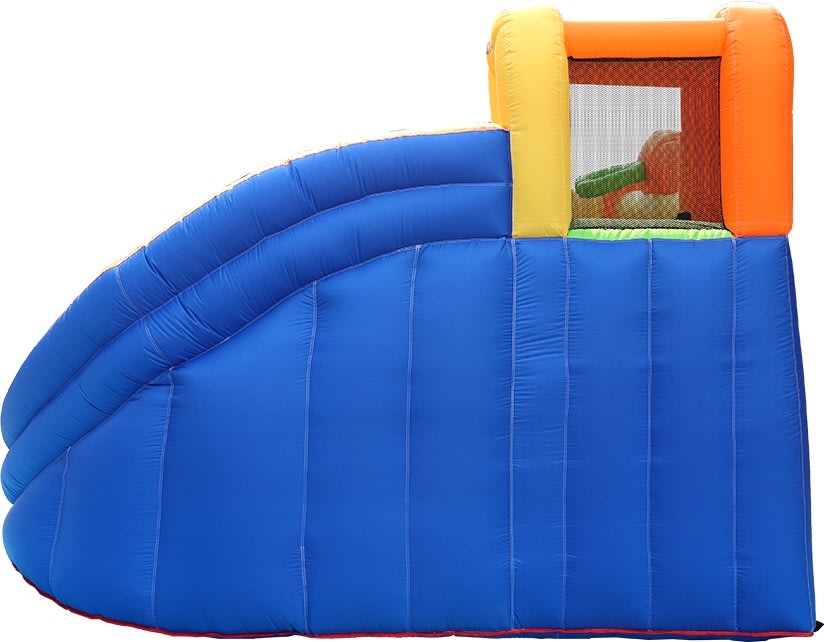 Doctor Dolphin Squirrel Hoppeborg