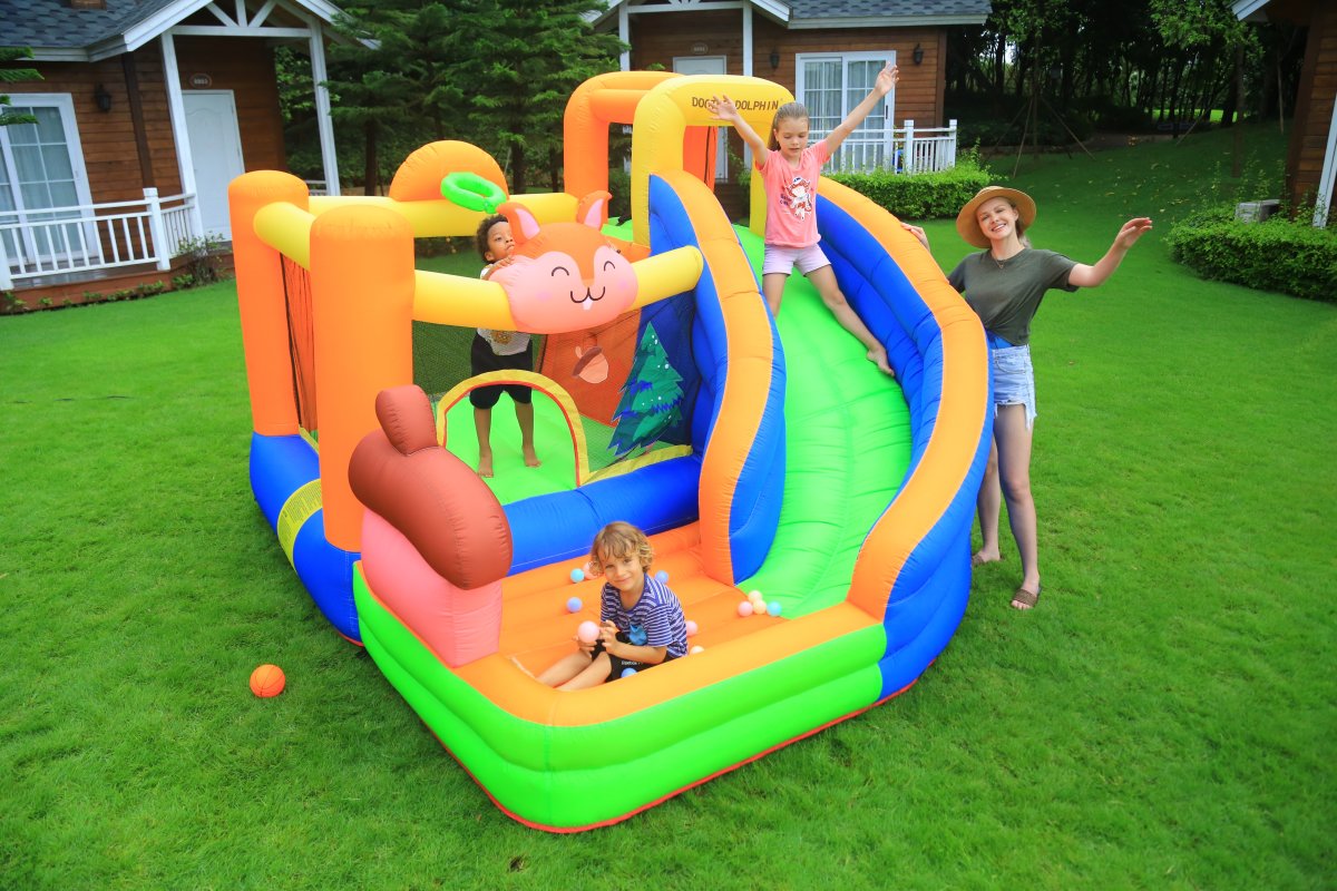 Doctor Dolphin Squirrel Hoppeborg