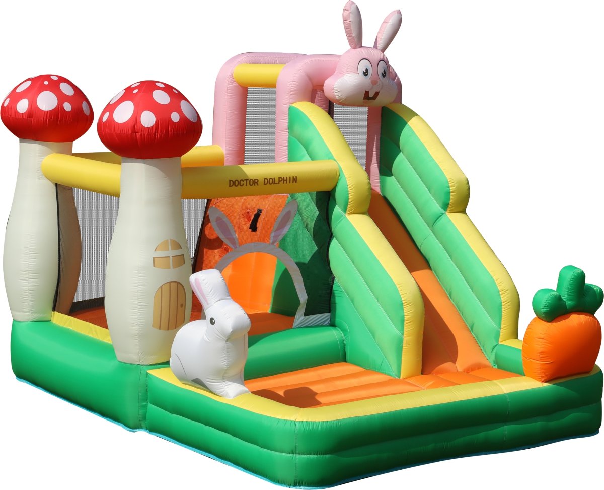 Doctor Dolphin Rabbit Hoppeborg