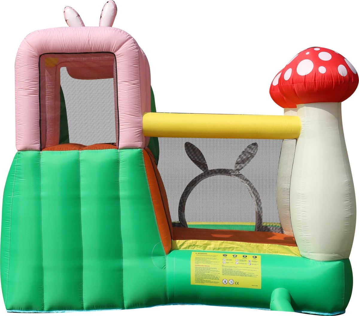 Doctor Dolphin Rabbit Hoppeborg