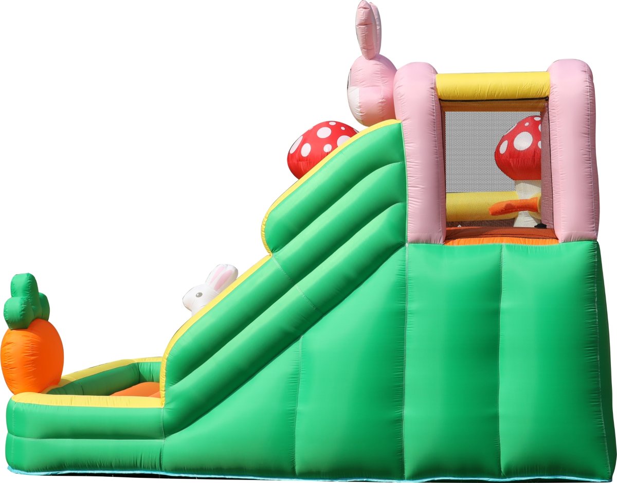 Doctor Dolphin Rabbit Hoppeborg