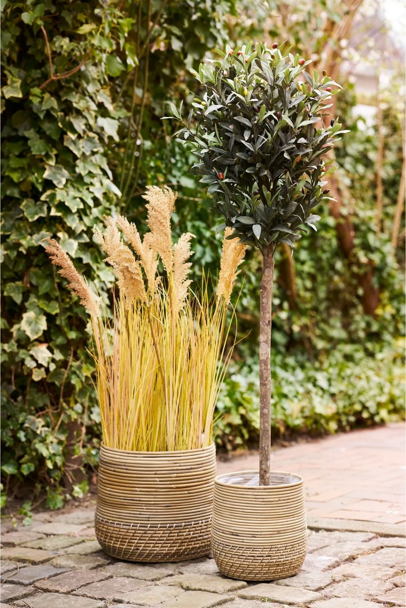 House Nordic Moro Kurve, sæt á 2