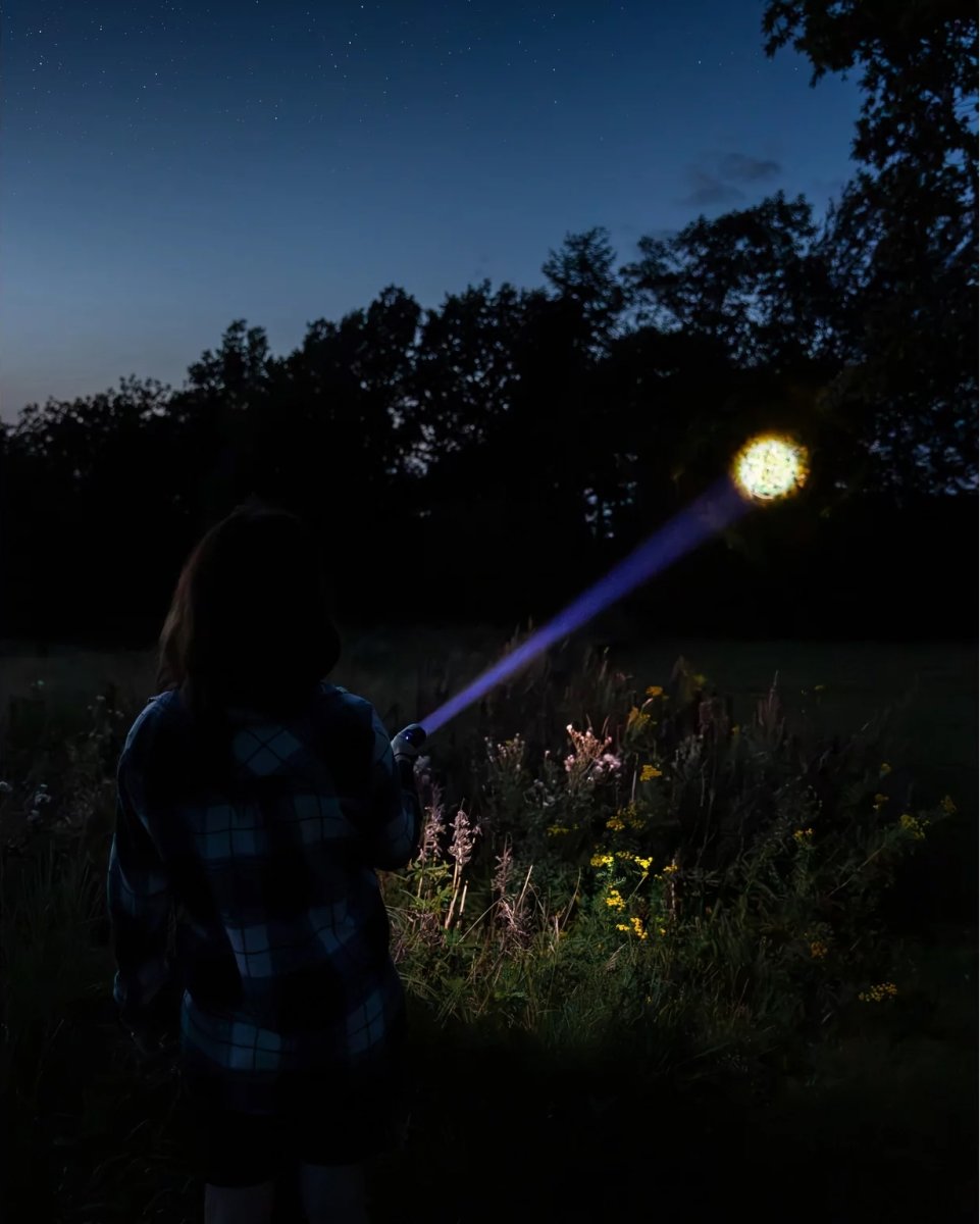 Sandberg Survivor Torch Powerbank 5000 lommelygte