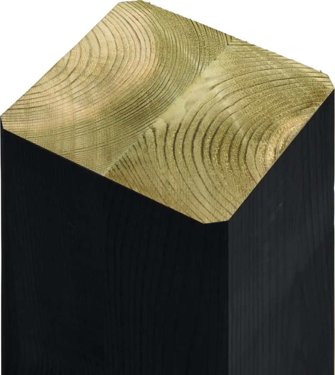 Plus Outdoor fitness 3 inkl. Beslag, sort