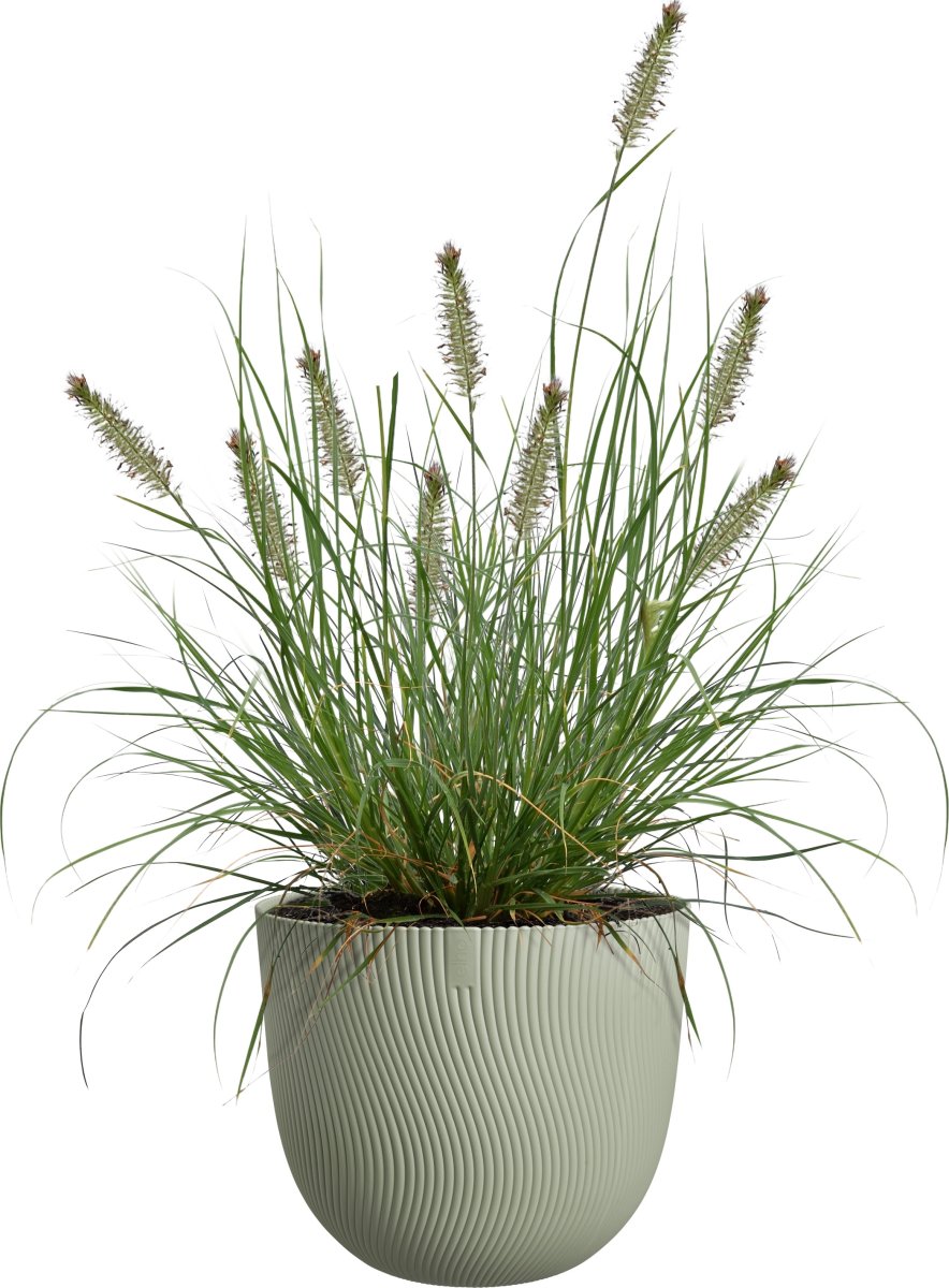 Elho Sereh Blomsterkrukke, 25 cm, nordic green