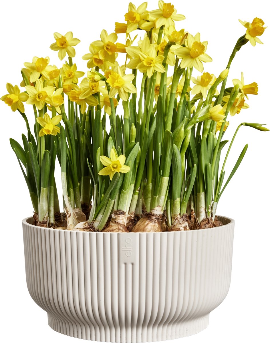 Elho Vibes Bowl Blomsterkrukke, 25 cm, linen white