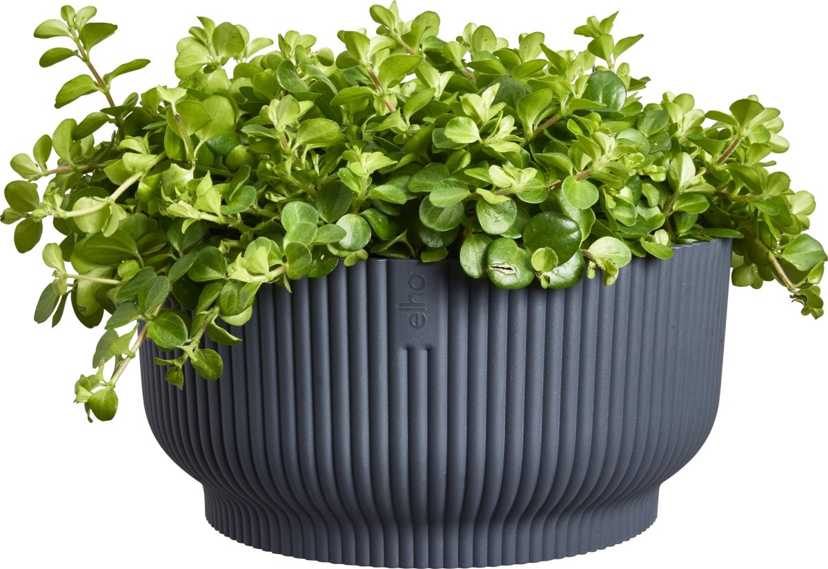 Elho Vibes Bowl Blomsterkrukke, 25 cm, anthracite