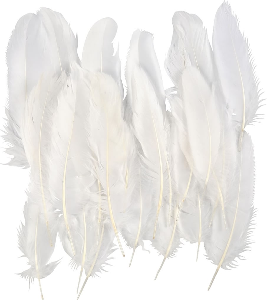 Pyntefjer | 350 stk. | Hvid