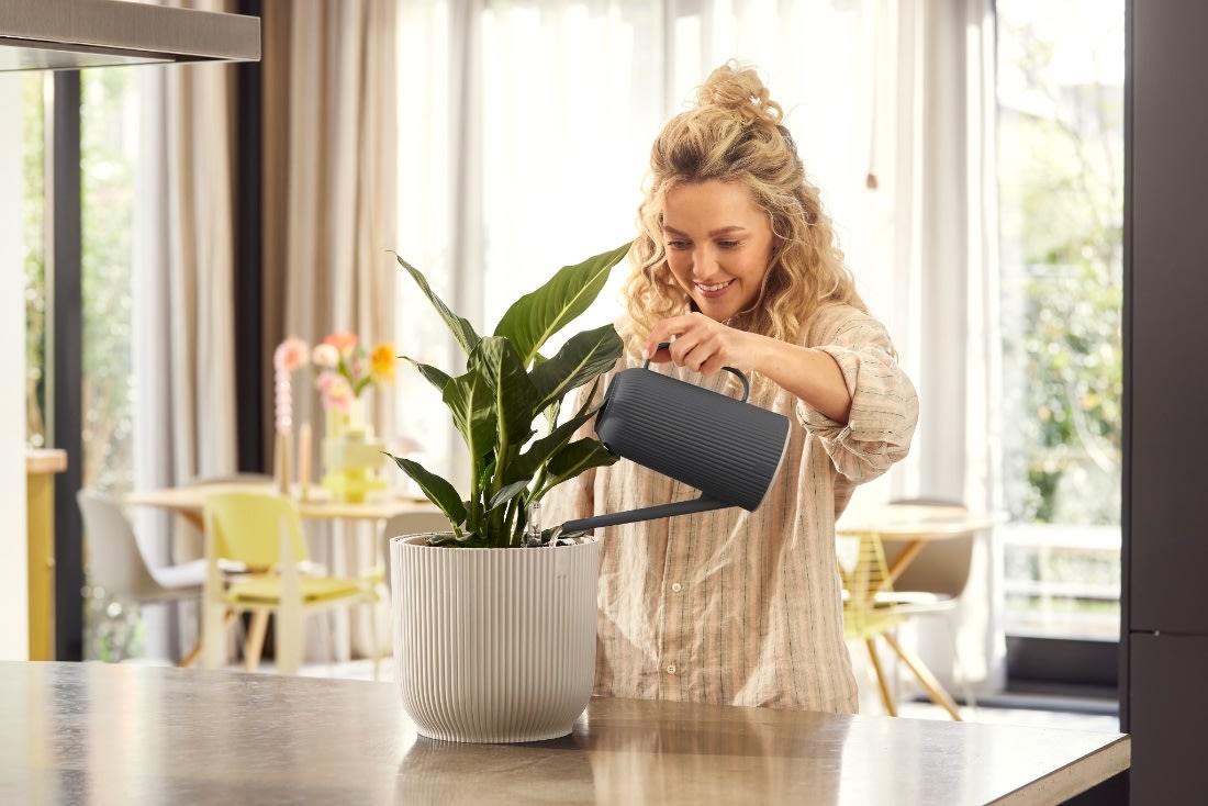 Elho Vibes Vandkande, 1,7L, anthracite