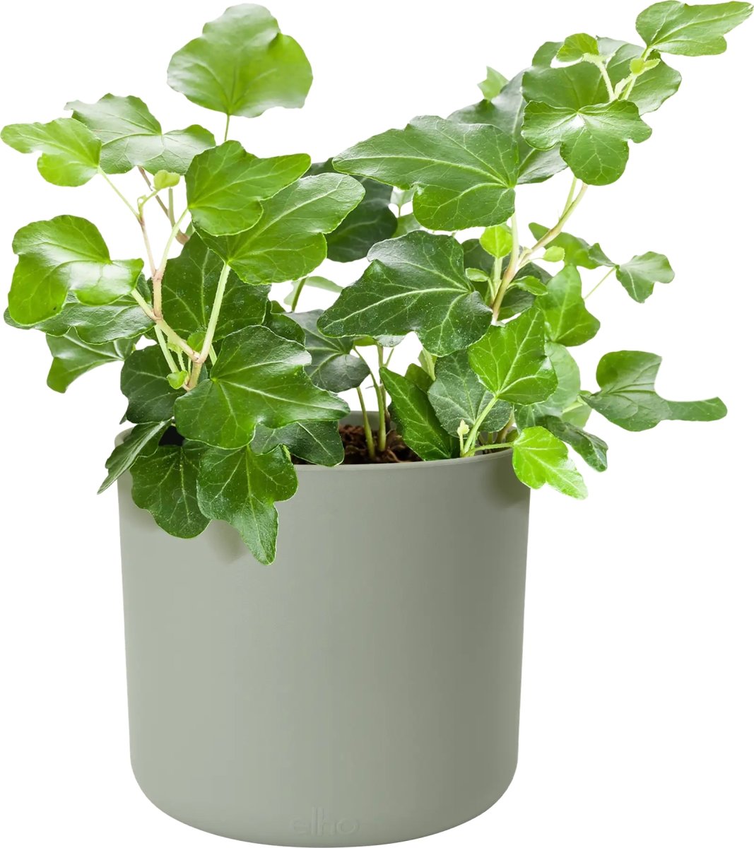 Elho B.for Soft Blomsterkrukke, 14 cm, stone green