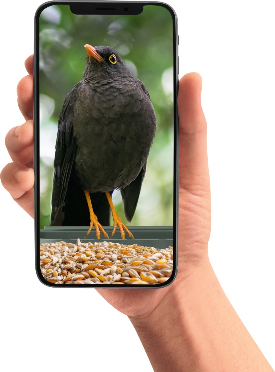 CapableX Foderbræt med kamera