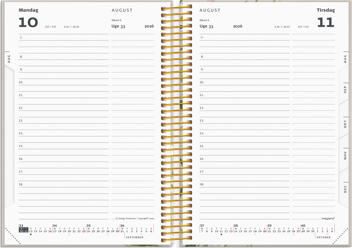 Mayland 26/27 Kalender, Studie Stor Story