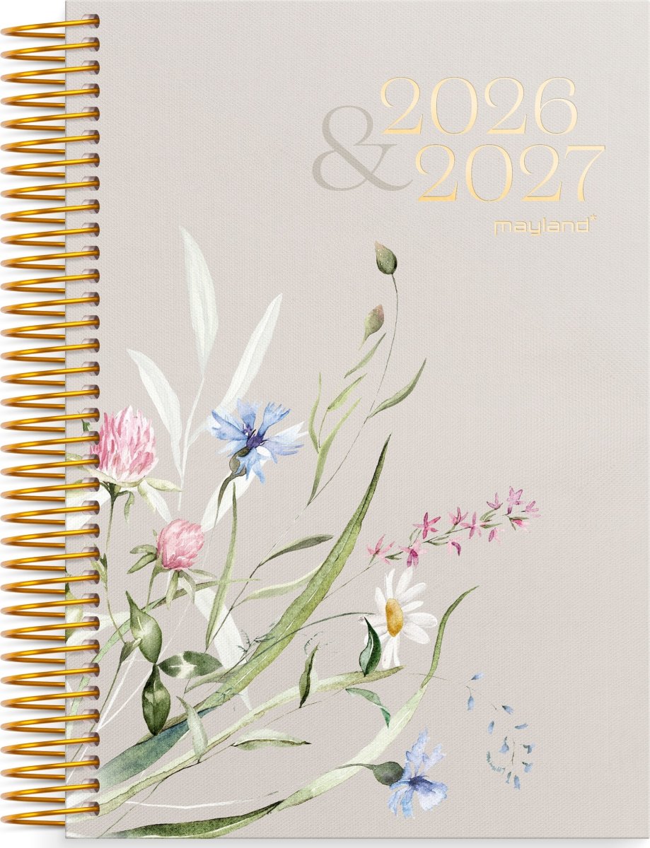 Mayland 26/27 Kalender, Studie Stor Story