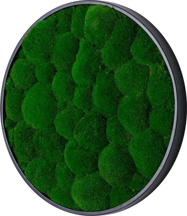 Pudemosbillede, Ø70 cm, m/sort træramme