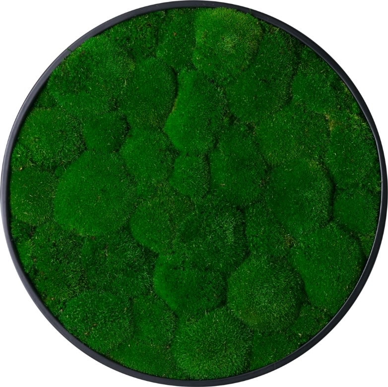 Pudemosbillede, Ø70 cm, m/sort træramme