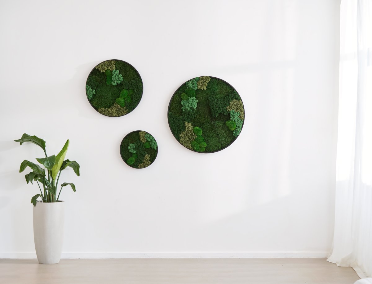 Mosbillede Mix 013, Ø70 cm, m/sort træramme