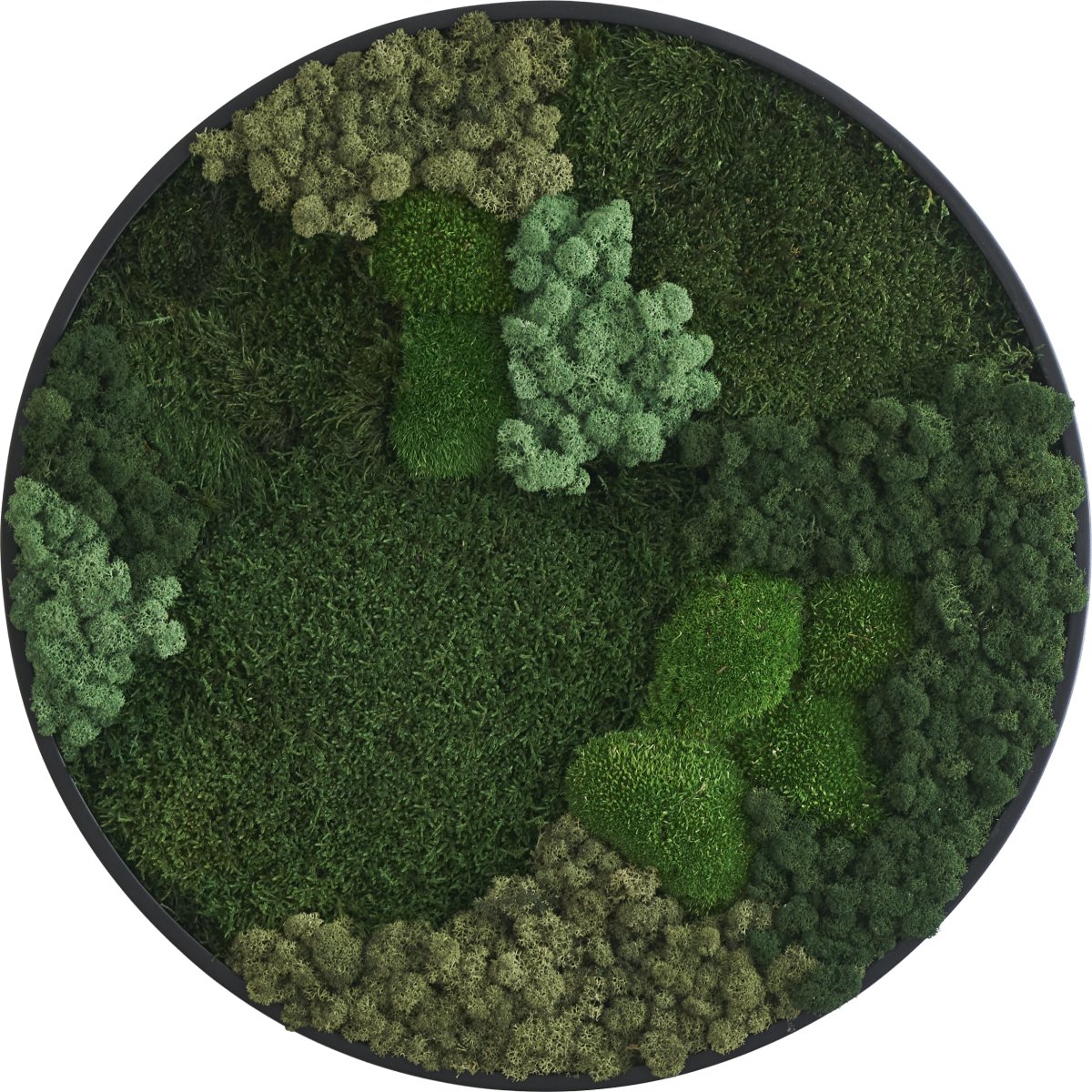 Mosbillede Mix 013, Ø70 cm, m/sort træramme