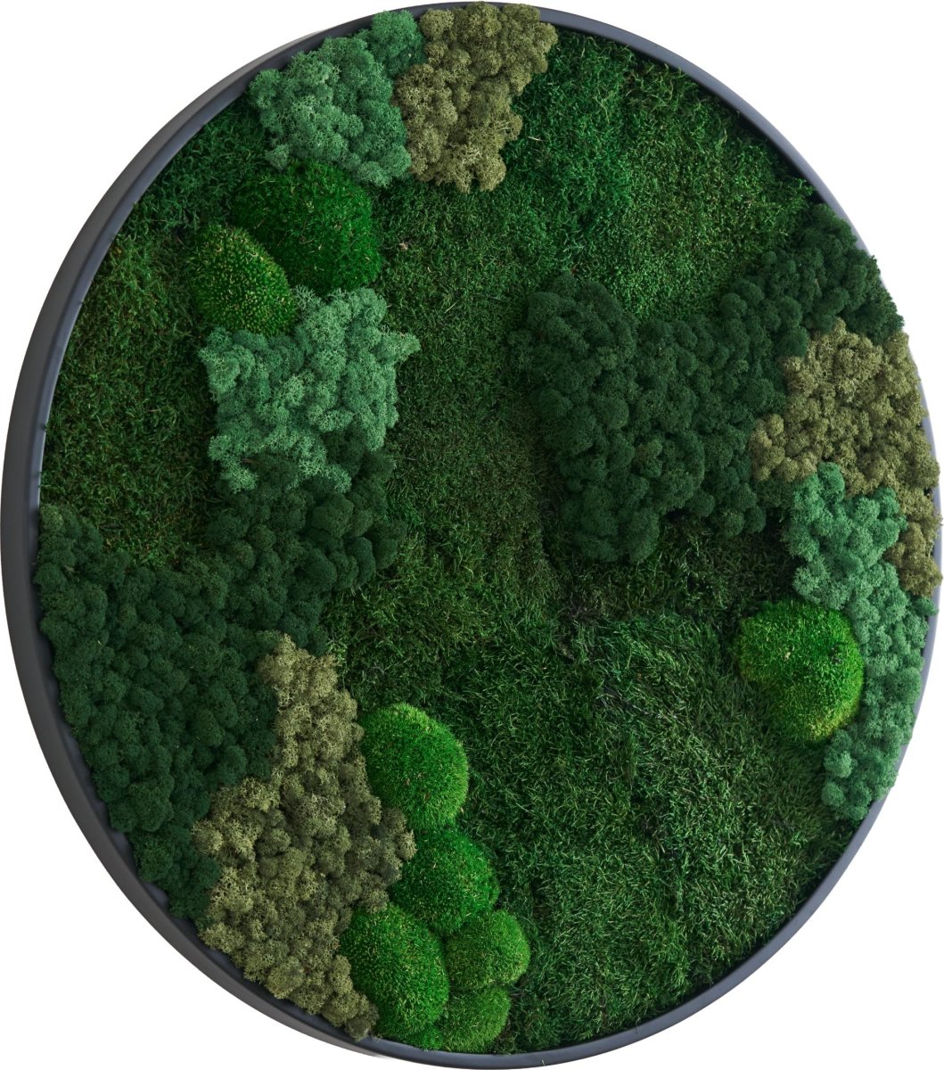 Mosbillede Mix 013, Ø70 cm, m/sort træramme