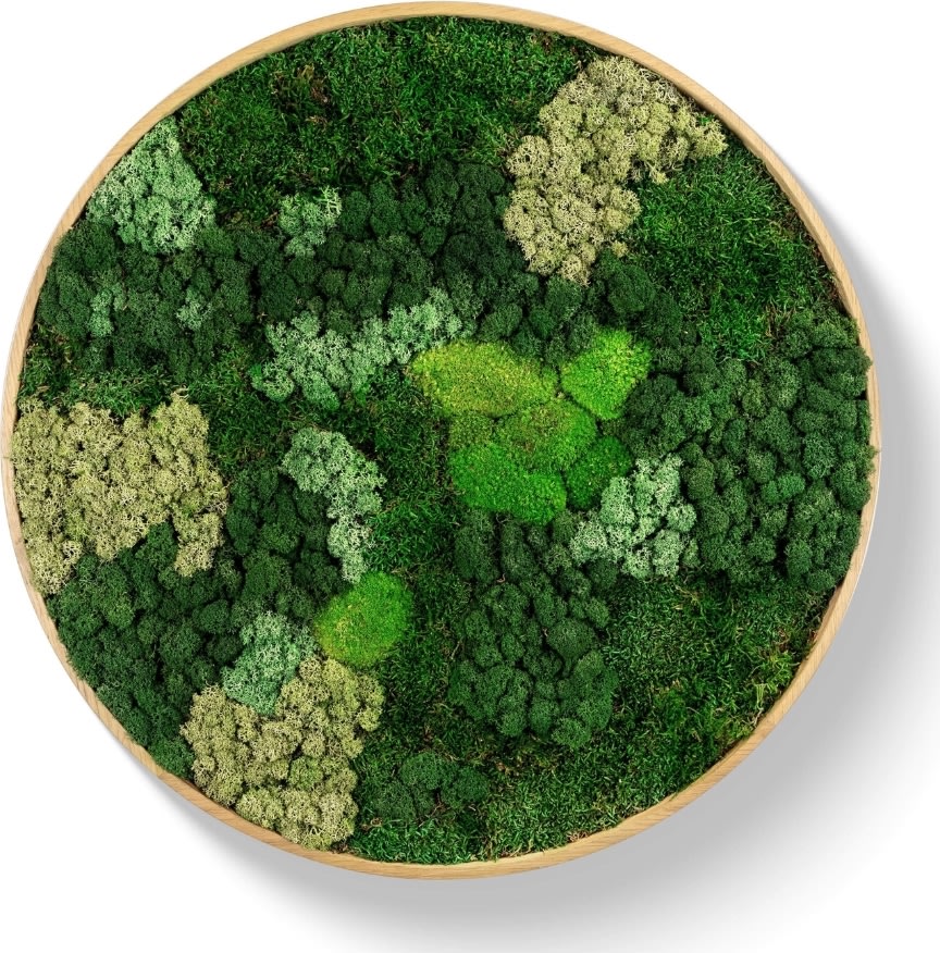 Mosbillede Mix 013 Ø40 cm, m/egetræsramme