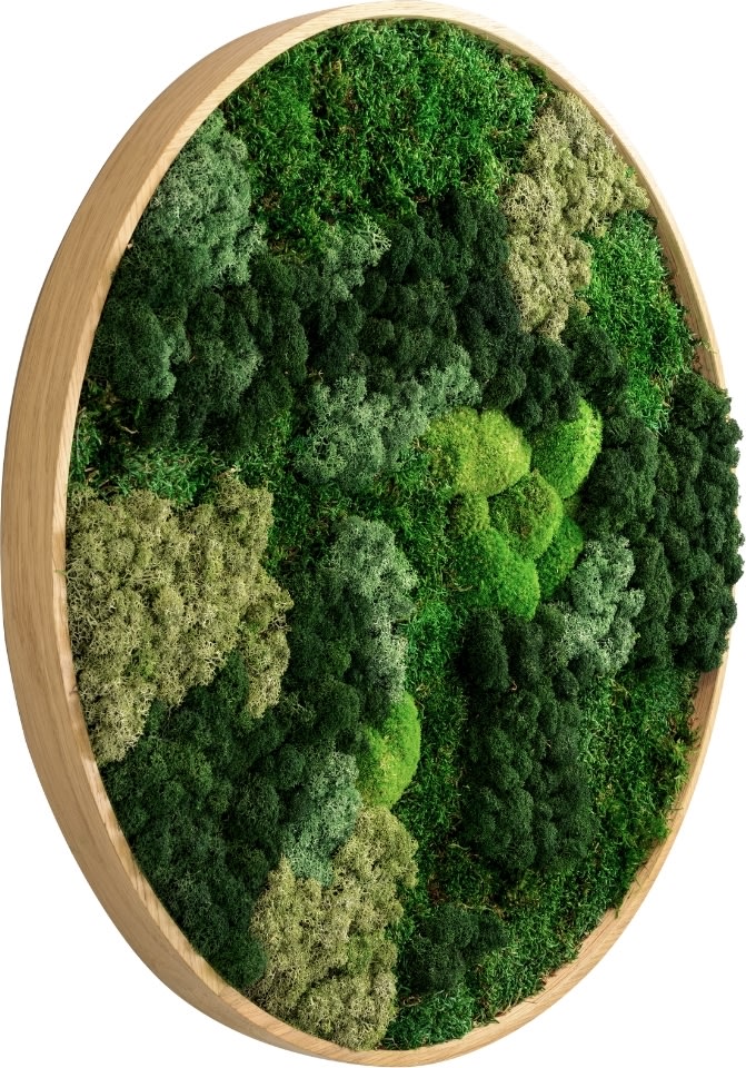 Mosbillede Mix 013, Ø70 cm, m/egetræsramme