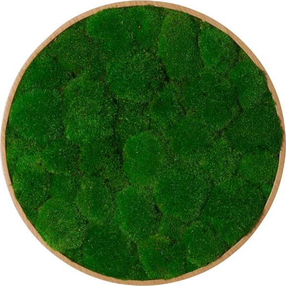 Pudemosbillede, Ø70 cm, m/egetræsramme