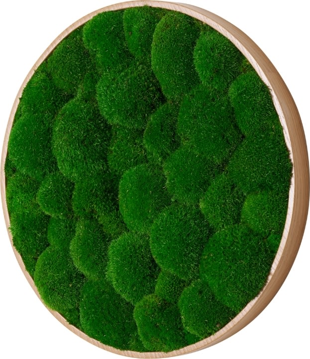 Pudemosbillede, Ø70 cm, m/egetræsramme