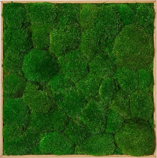 Pudemosbillede, 50x50 cm, m/egetræsramme